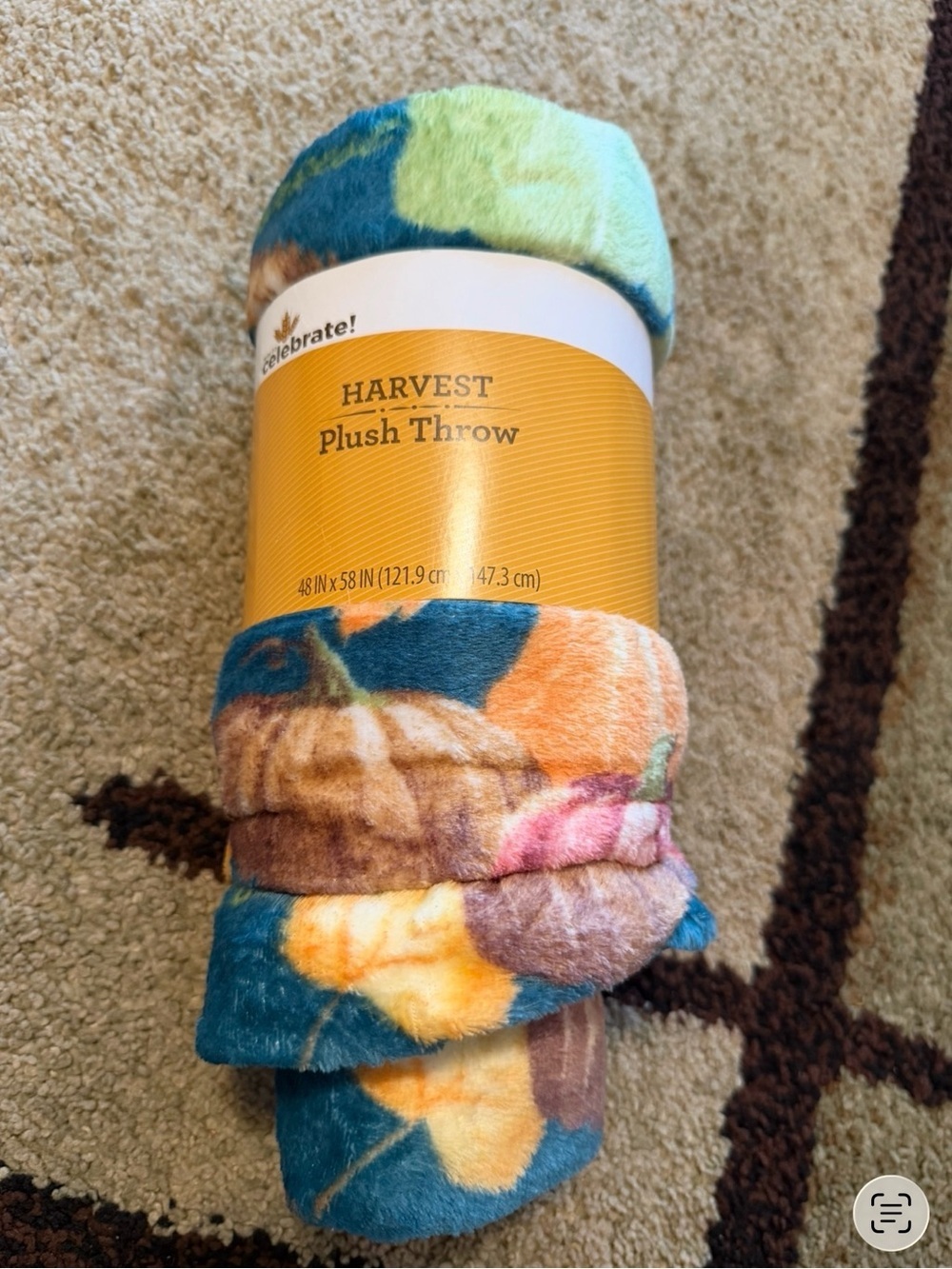 Plush Throw - Multicolor Cozy Blanket